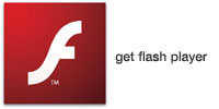 flash player